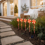 LED Solar Lollipop Path Lights 5pk styled in an Australian Christmas setting