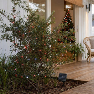 LED 100 Solar 2F Fairy Lights Red and Cool White styled in an Australian Christmas setting