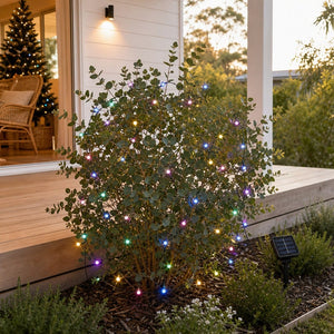 LED 100 Solar 2F Fairy Lights Macaroon styled in an Australian Christmas setting