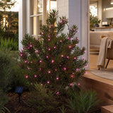 LED 100 Solar 2F Fairy Lights Soft Pink styled in an Australian Christmas setting
