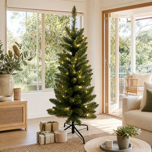 Potted Radiata Pre-Lit Christmas Tree styled in an Australian Christmas setting