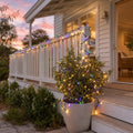 420 LED Warm White and Multi Dual Colour Lights (33.5m) styled in an Australian Christmas setting