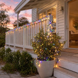 420 LED Warm White and Multi Dual Colour Lights (33.5m) styled in an Australian Christmas setting