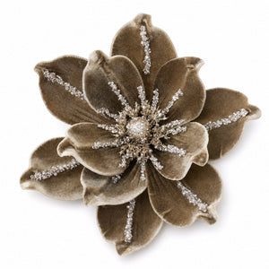 Coffee Cream Magnolia Clip