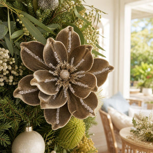 Coffee Cream Magnolia Clip styled in an Australian Christmas setting
