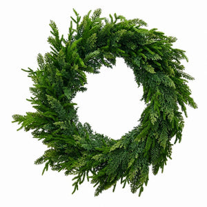 Norfolk Pine Wreath (80cm)