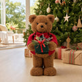 Brown Bear styled in an Australian Christmas setting