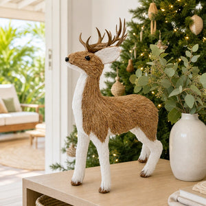 Yuletide Reindeer styled in an Australian Christmas setting