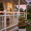 LED Candy Flashing Ropelight (20m) styled in an Australian Christmas setting