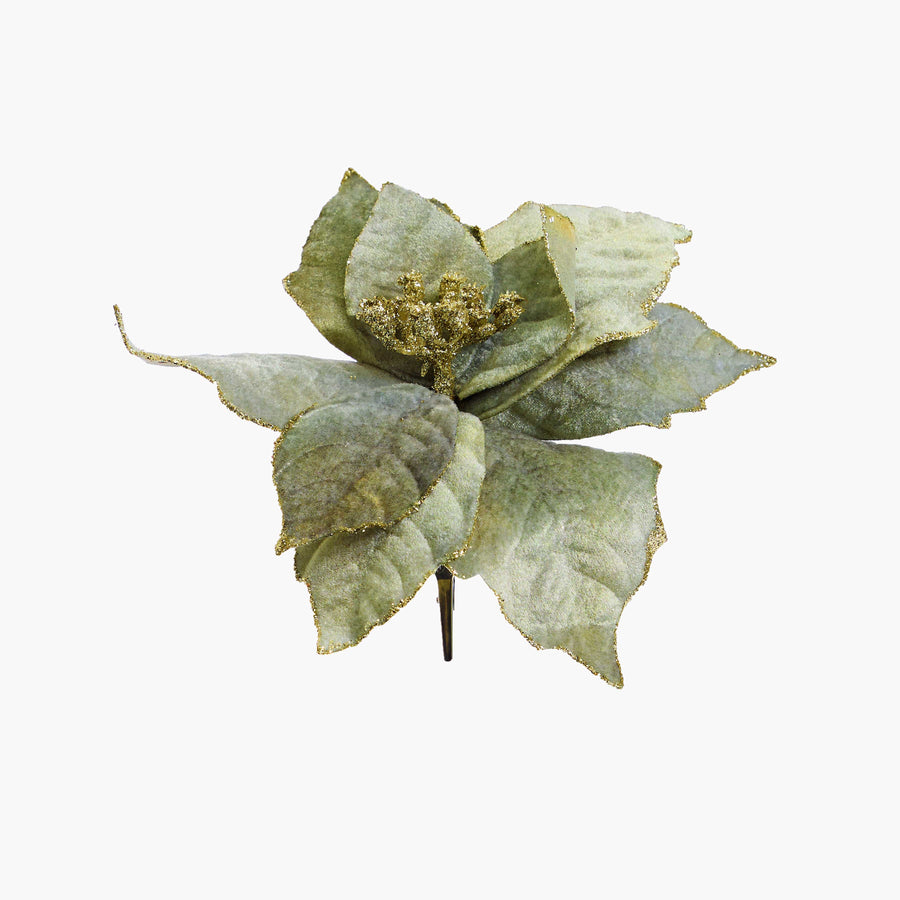 Sage Poinsettia with Clip (20cm)