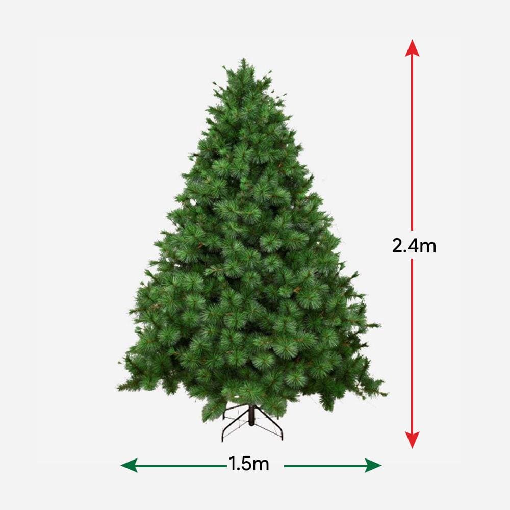 Natural Royal Pine Tree 8ft/2.4m