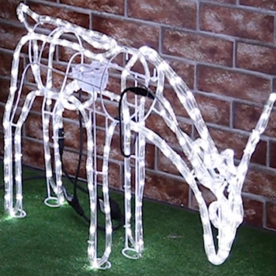 LED Ropelight Feeding Reindeer Moving