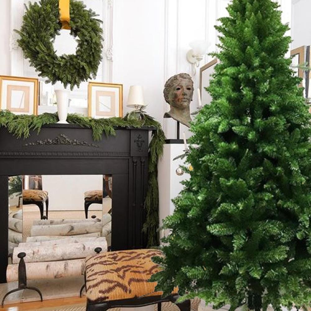 Radiata Pine Tree 7ft (2.1m)