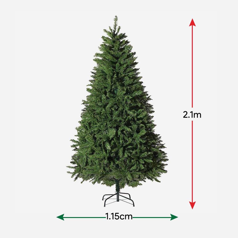 Radiata Pine Tree 7ft (2.1m)