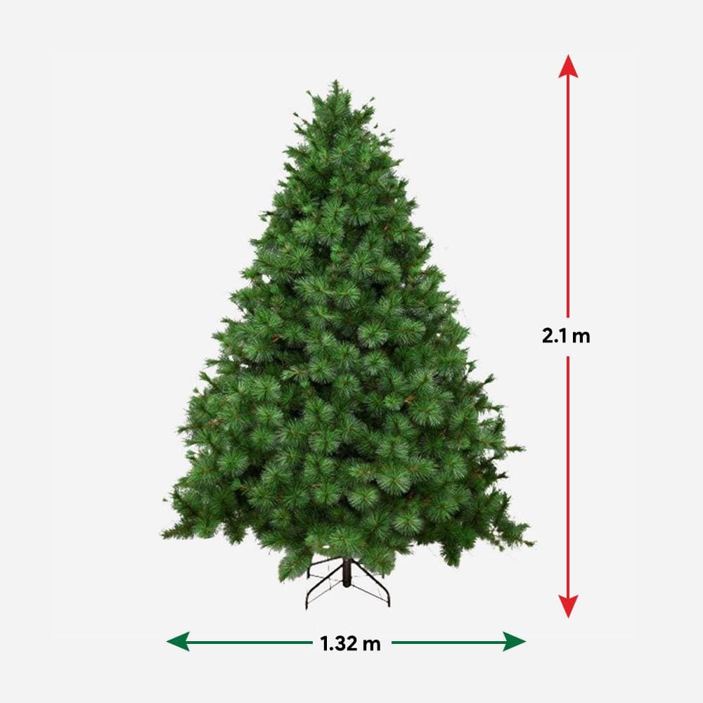 Natural Royal Pine Tree 7ft (2.1m)