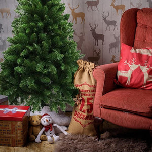 Radiata Pine Tree 5ft (1.5m) - View 5