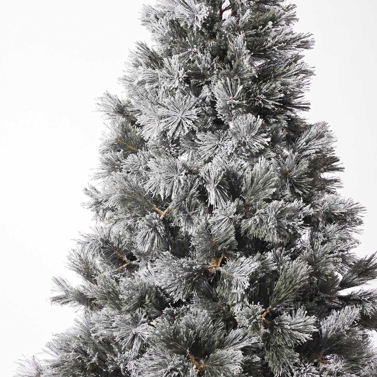 Snowy Mountain Giant Tree 10ft (3m)