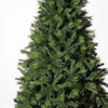 Evergreen Forest Tree 7ft (2.1m)