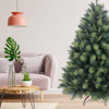 Evergreen Forest Tree 7ft (2.1m)