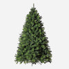 Evergreen Forest Tree 7ft (2.1m)