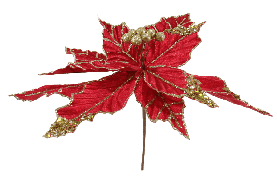 Poinsettia with Gold Berries 4 Asst (33cm)