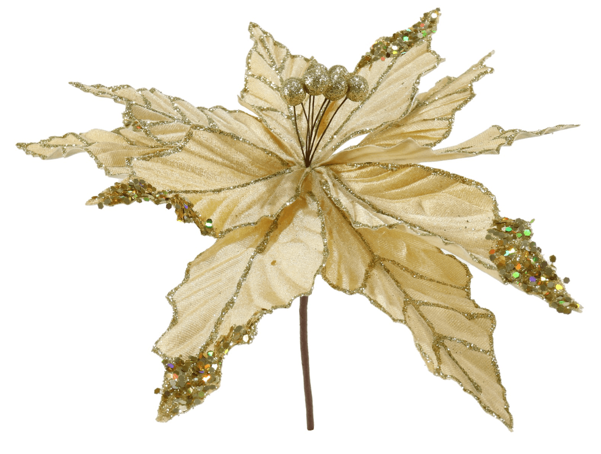 Poinsettia with Gold Berries 4 Asst (33cm)