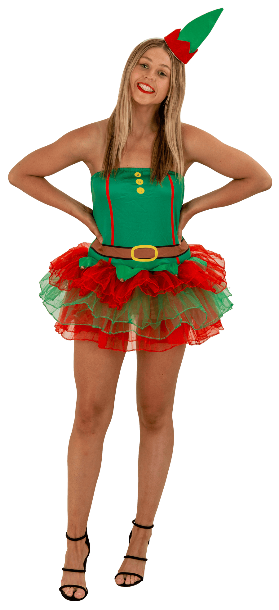 Adults Elf Costume Set Asst