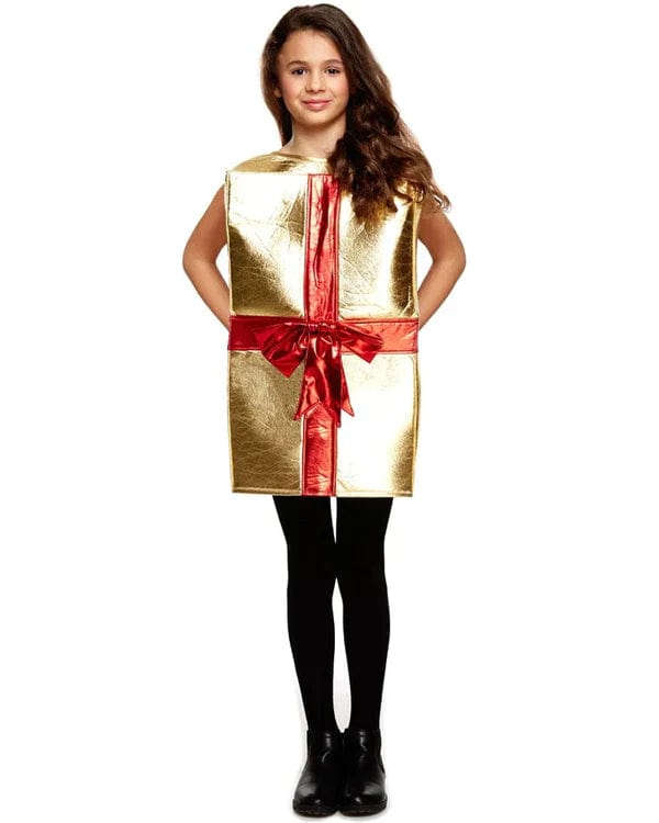 Childrens Christmas Gift Costume