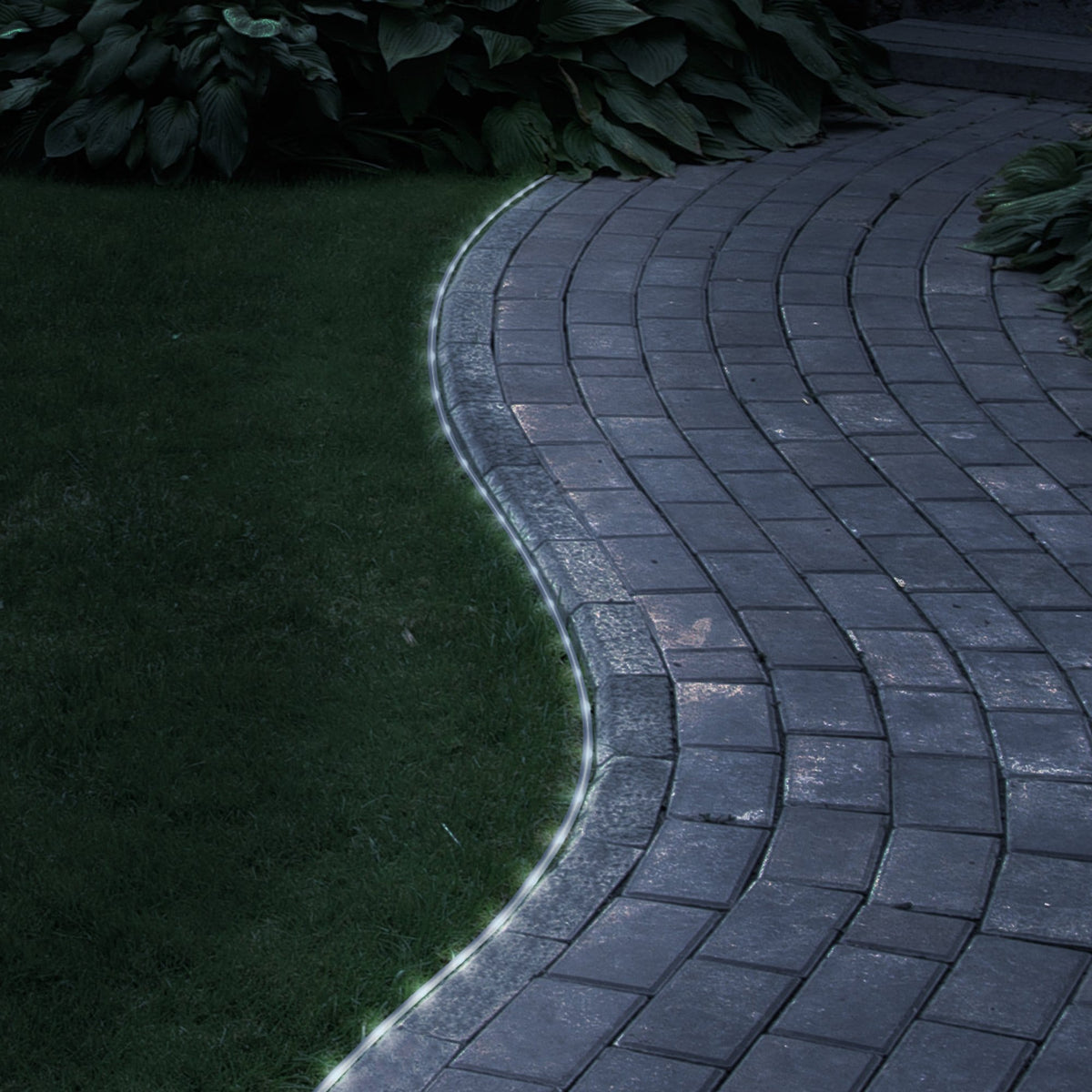 LED Solar White Ropelight (10m)